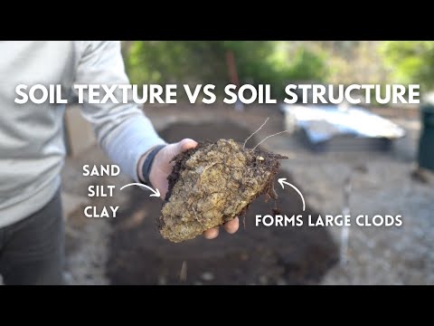 Comparing Soil Structure vs Soil Texture (Fixing Heavy Clay Garden Soil)