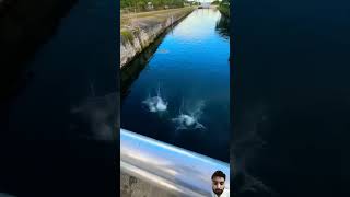 Old Jack is Back! @MckinleyRichardson