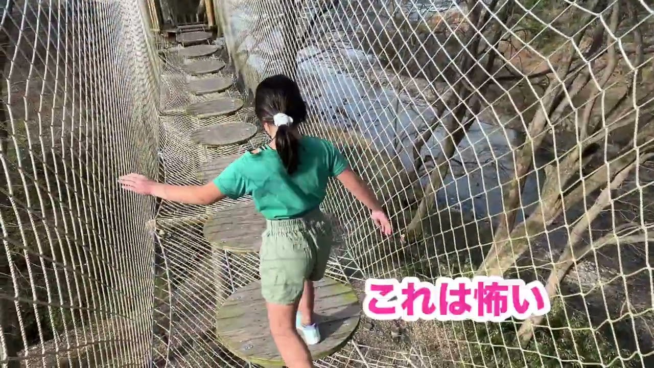 可児市の湯の華アイランドで空中アスレチックを楽しんできた❗️5歳から遊べるのが嬉しい✨子どもは1時間500円です。