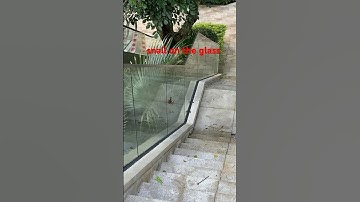 snail moving on the glass #snail #animals #nature