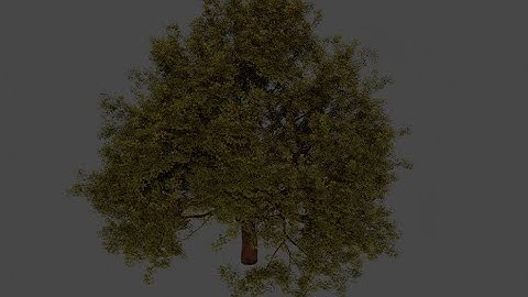 How to make a realistic tree in Blender 2.90 with Modular Tree addon