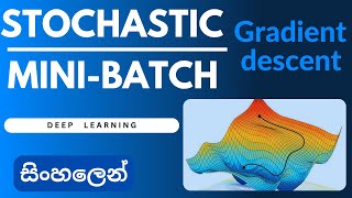 Stochastic and Mini-batch Gradient Descent | Sinhala