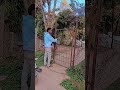 #minivlog
