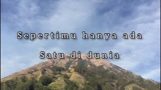 Roy - Sepertimu Hanya Ada Satu Di Dunia (video lirik)