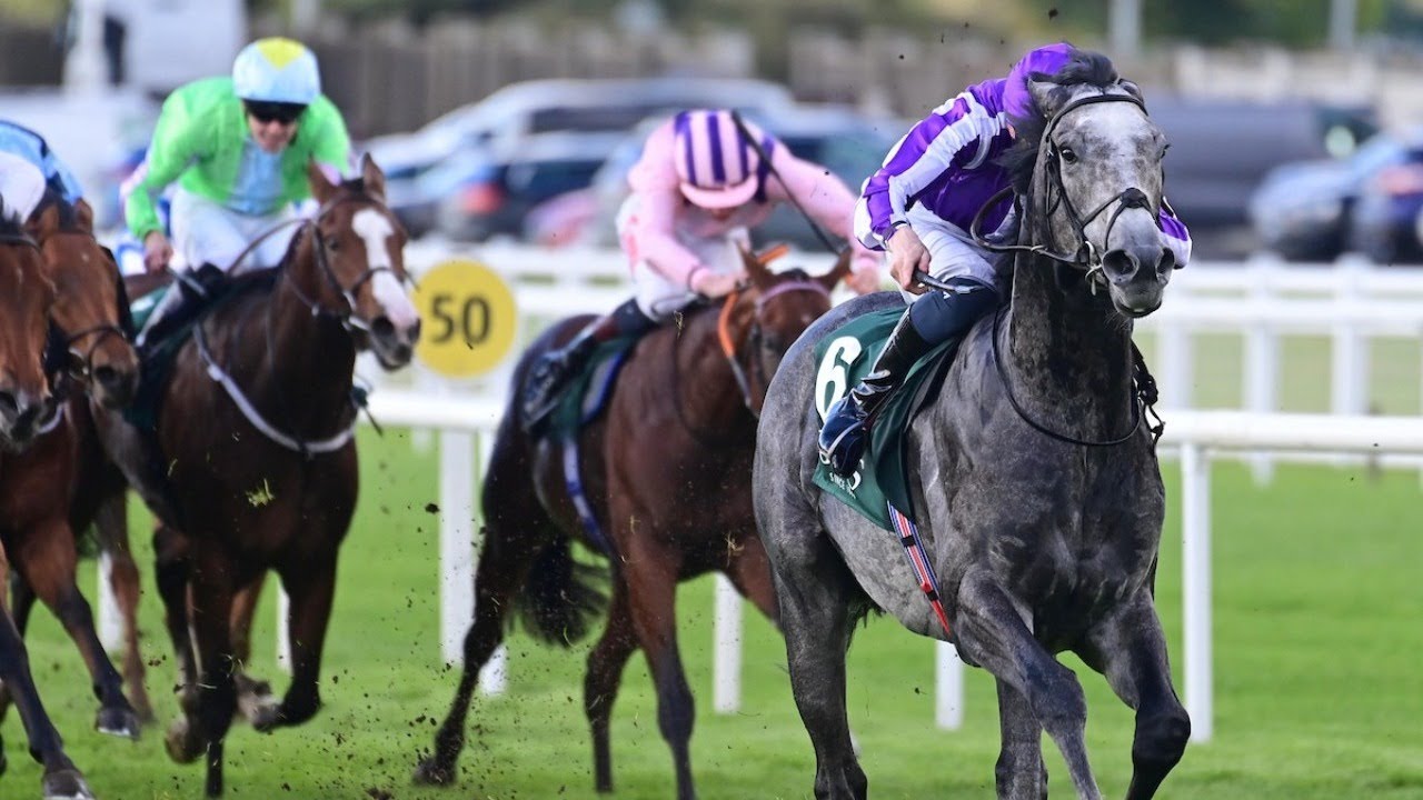 DORSET lands Goffs Million for Ballydoyle
