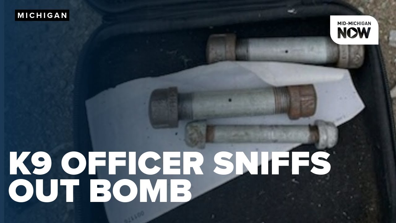 K9 officer sniffs out live pipe bomb at Saginaw towing yard
