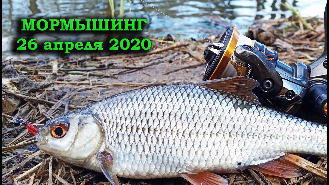 Мормышинг на оке Мормышинг на оке