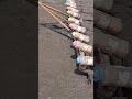Unique and clever way to use used bottles to make a coffee selection tool #diyprojects #diy