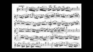 Bach, J.S. violin concerto in A minor BWV 1041