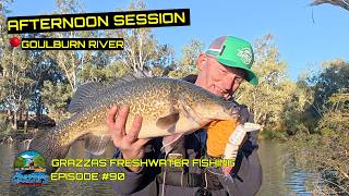 Celebrity Afternoon Murray Cod Session | Goulburn River #grazzasfreshwaterfishing Wealth