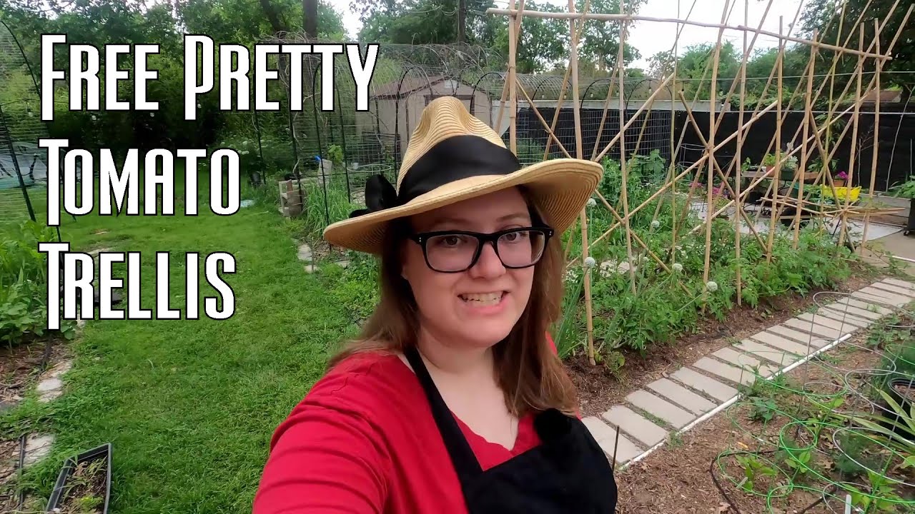 How I built a Pretty Tomato Trellis for Free