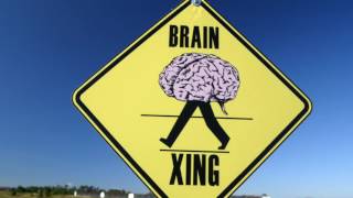 Brain Games Battle of the Ages Part 02.mkv