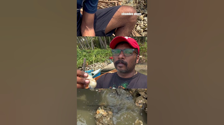 When I caught a crab and ate it raw... Oyster