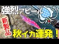 【エギング】秋イカ連発！話題の新商品：エギ王サーチでアオリイカを狙う