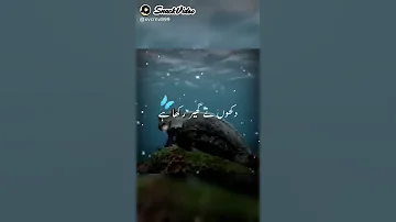 Best Beautiful Islamic Naat Status WhatsApp Status 2021 Jummah Ramzan Mubarak 