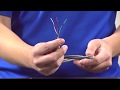 Video Image