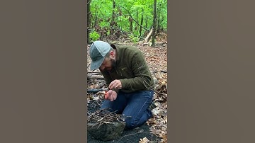 How to Light a ONE MATCH Fire Even in Wet Conditions #Shorts