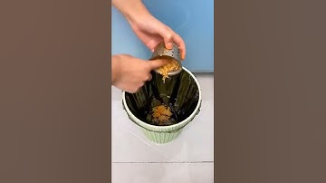 Bộ 100 túi lọc rác bồn rửa bát