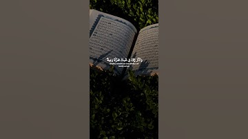 اكتب شيء تؤجر عليه 😴💚 قران كريم | ياسر الدوسري