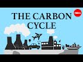 The Carbon Cycle and Climate Change: Exploring Energy Transfer and Greenhouse Gases
