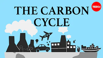 The carbon cycle - Nathaniel Manning