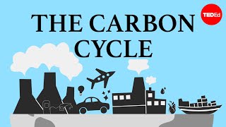 The carbon cycle  Nathaniel Manning