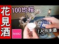 100均の桜で1人花見【ダイソー】ベランダで1人呑み