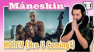 Måneskin - Honey (Are You Coming?) Reactionalysis (Reaction). Teacher Analyses Maneskin