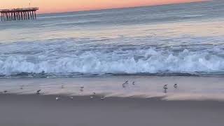 Where the Waves Find the Shore  screenshot 5