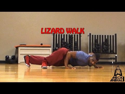 MOBILITY CHALLENGE | LIZARD WALK