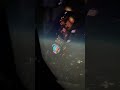 Nightlife #short #shortsvideo #shorts #shortvideo