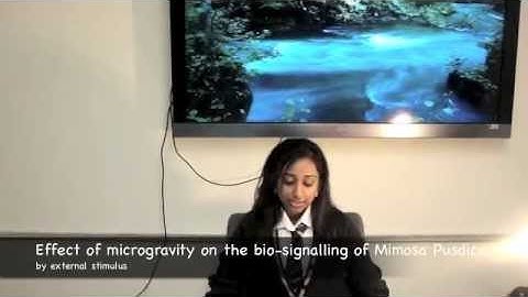 Youtube Space Lab Entry