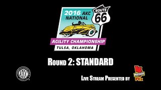 2016 AKC National Agility Championship: Ring 3 - Rd 2 Standard (20)