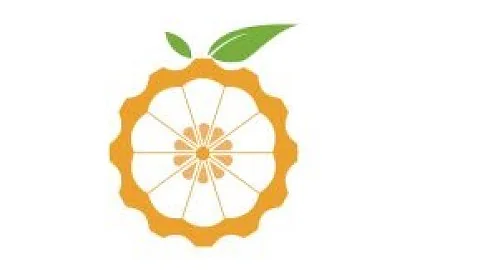 #10 - Install Orange Pi image to emmc of Orange Pi 5B - Linux install and Windows install