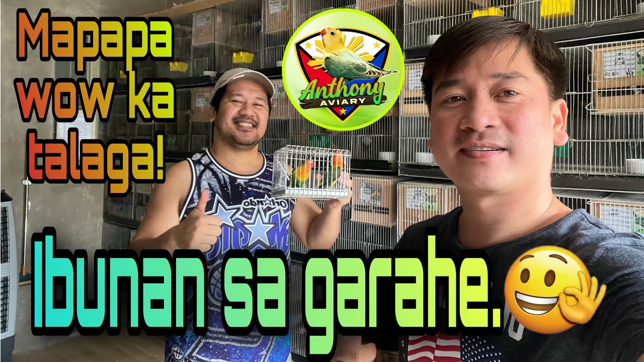 Aviary visit @ ANTHONY AVIARY..