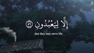 وَذَكِّرْ فَإِنَّ الذِّكْرَىٰ تَنفَعُ الْمُؤمِنِينَ - (آيات من سورة الذاريات) - القارئ ماهر المعيقلي