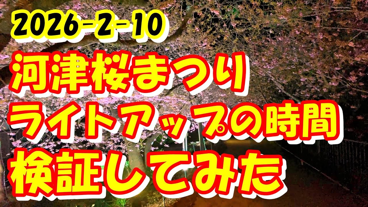 2026 2月10日 河津桜まつり 夜桜ライトアップ 消灯時間を検証してみた