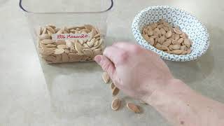 Drying Giant pumpkin seeds, sorting the good from the bad.