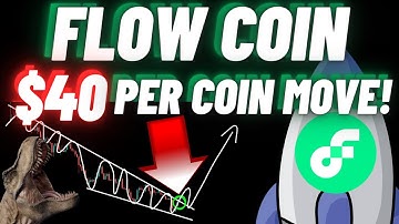 It Will Be $40 Per Coin Move Of Flow Coin