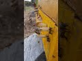 🐝🐝 #apiculturamacizo #bee #shortvideo #viralshort