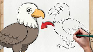 How to Draw a Bald Eagle - Easy Step by Step Tutorial 🦅 How to Draw a Bald Eagle - Easy Step by Step Tutorial 🦅