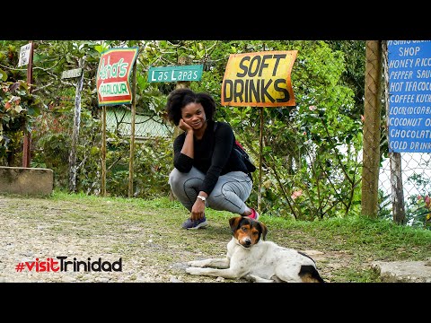 Visiting Lopinot & Las Lapas - Café Mariposa & Asha's Parlour @VisitTrinbago