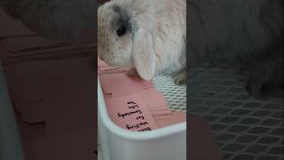 Download Lagu An Urgent Message by @tomiyukibuns_ #channeledmessages #messagesfromyourperson #lovenotes MP3 Download Lagu An Urgent Message by @tomiyukibuns_ #channeledmessages #messagesfromyourperson #lovenotes MP3