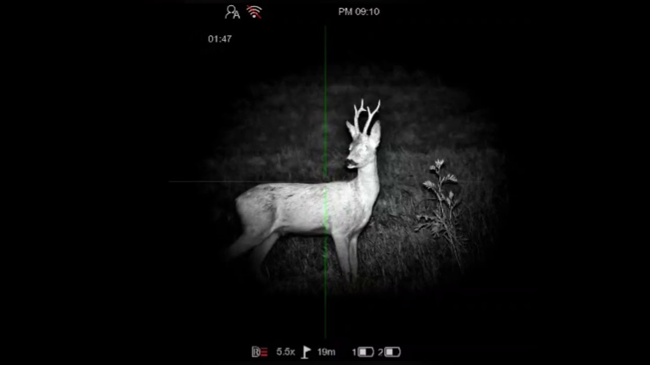 Pard Night Stalker 4K eX LRF+IR 940nm - www.praedator.sk