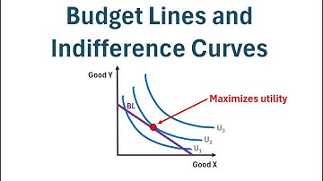 Microeconomics: Budget Lines and Indifference Curves