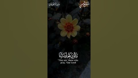 والذين يقولون ربنا هب لنا من أزواجنا وذرياتنا قرة أعين || الشيخ وديع اليمني سورة الفرقان