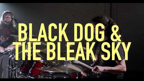 Syncolima - Black Dog And The Bleak Sky
