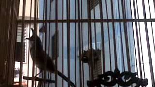 VID 00073 20131029 1431