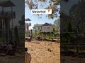 Netarhat📍#latehar #jharkhand #netarhat mini vlog