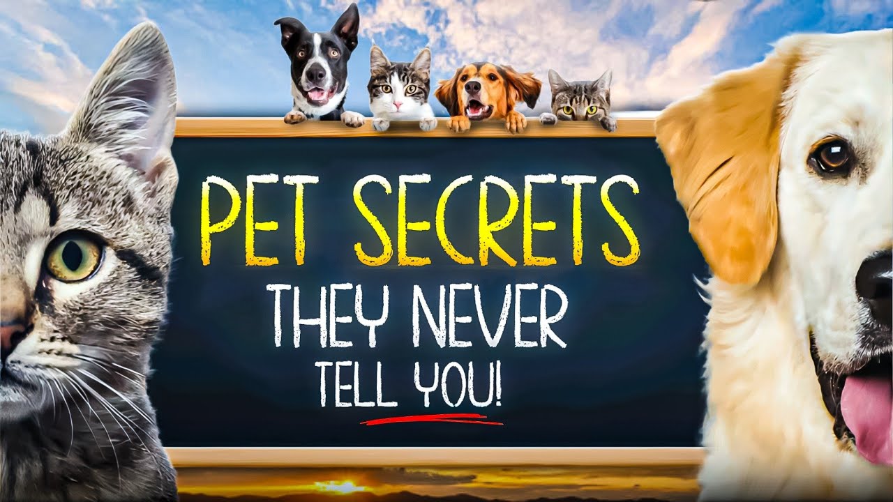 New Pet Parent? TOP 2 Care Tips for a Smooth Start | Happy & Healthy Pets | Pet Travel & Care
